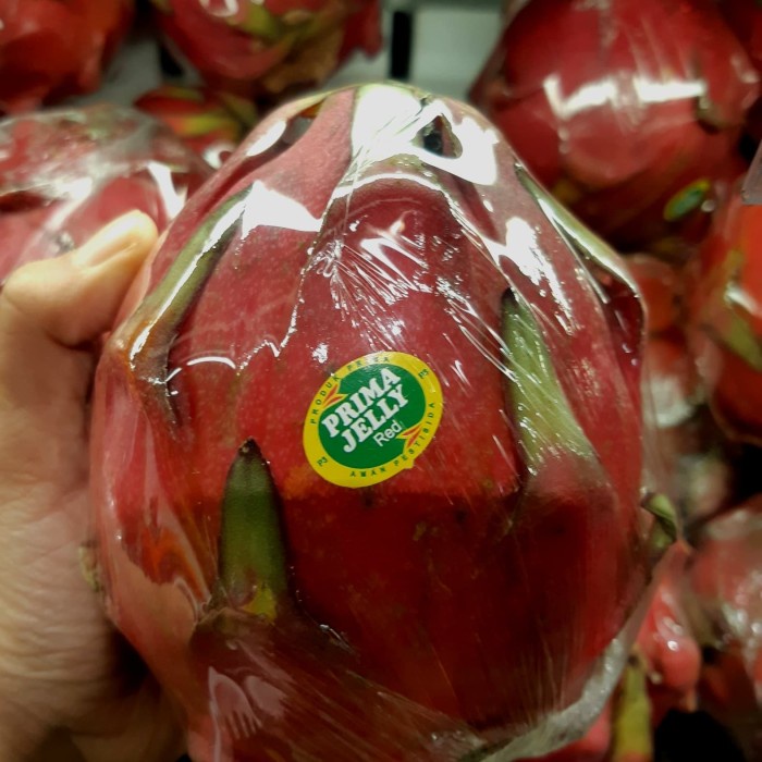 

Buah Dragon Fruit Red Jelly Fresh