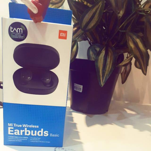 Mi True Wireless Earbuds Basic