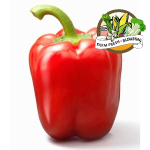 

paprika merah 300-500grm