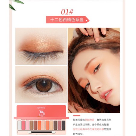 Lameila Eyeshadow Palette 12 Warna DJ 1111