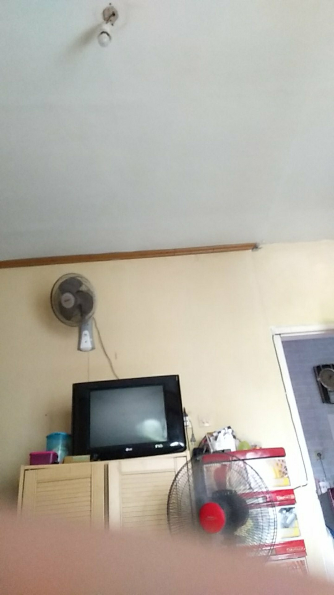 Hantag Anting
