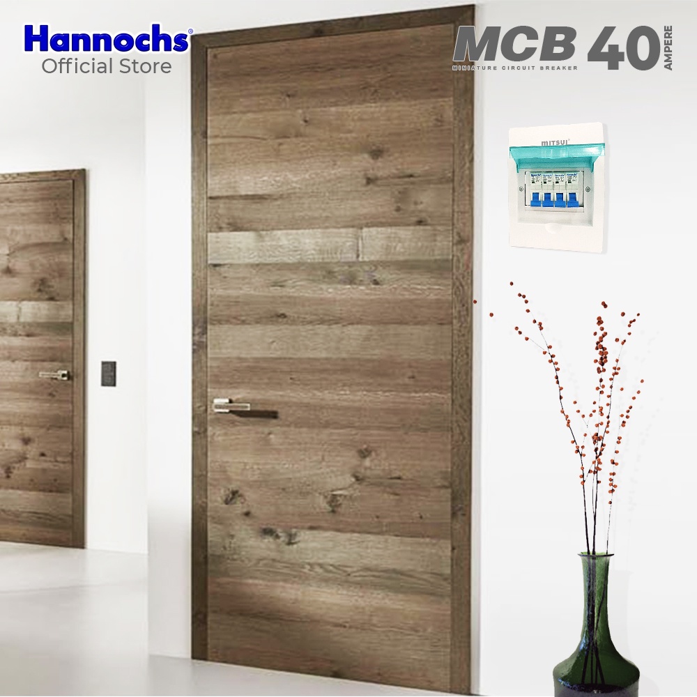 Hannochs - MCB 1Phase 6A ~ 40A