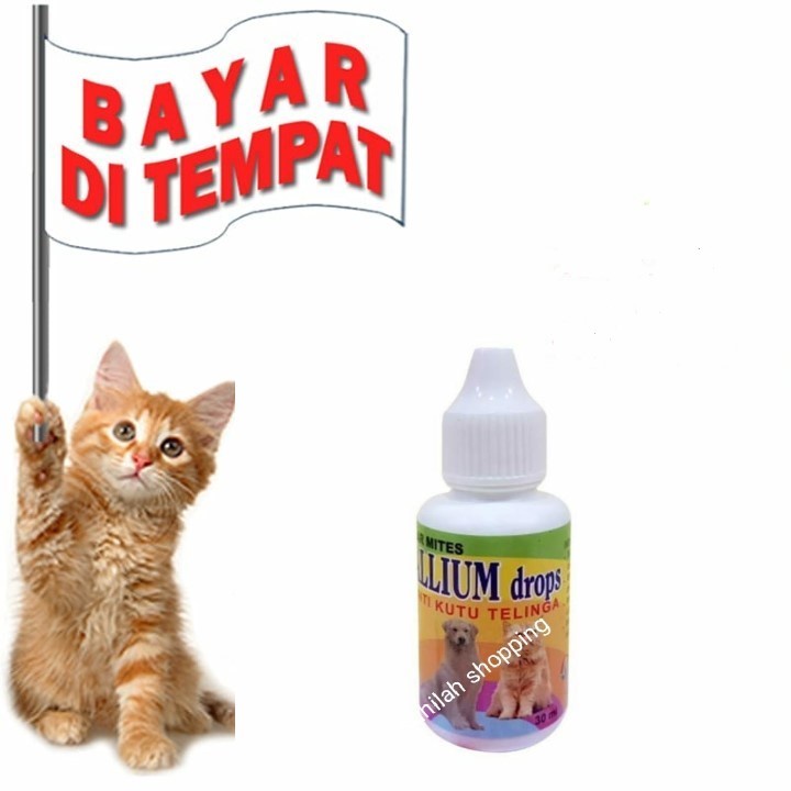 OBAT  KUTU KUPING TELINGA KUCING ANJING TETES AMPUH TERMURAH ALLIUM