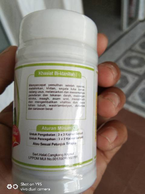 BINAHONG_HERBAL/PANCASONA/TERMURAH