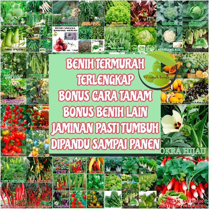 Jual Benih Sayuran Unggul Ratusan Benih Sayur Benih Bibit Sayuran ...