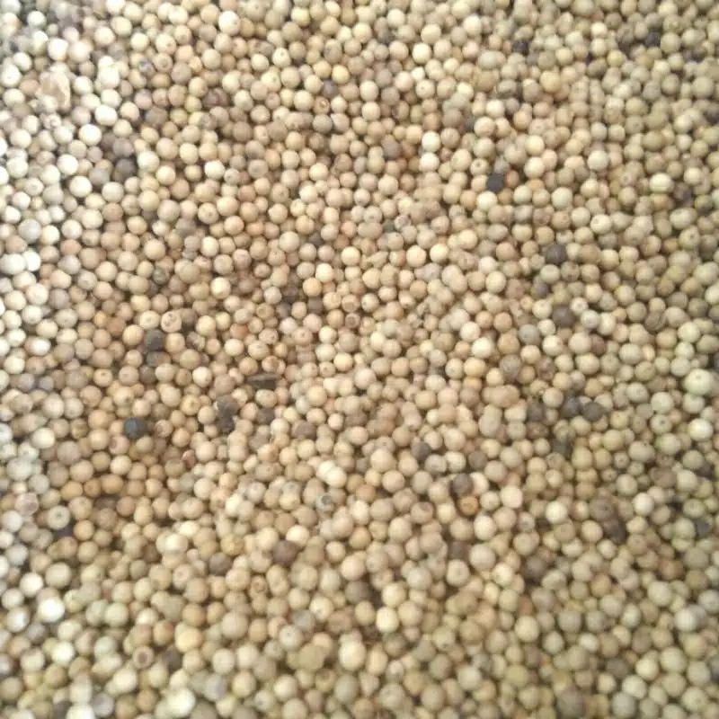 

Lada putih - 50 gram