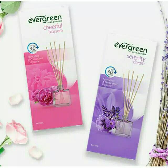 Evergreen Air Freshener Reed Diffuser Aroma therapy Aromatherapy pewangi ruangan-8