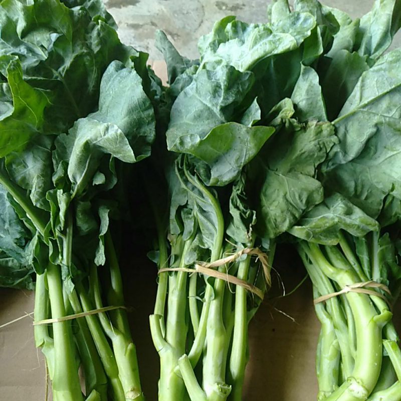 

Kailan sayur segar 500 gram (ikat)