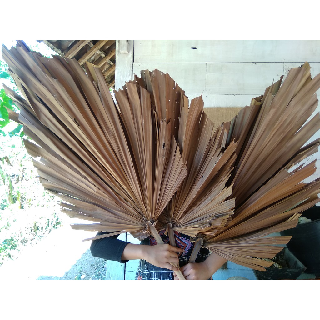 Daun Palm Kering Untuk Dekorasi Rustic Large Shopee Indonesia