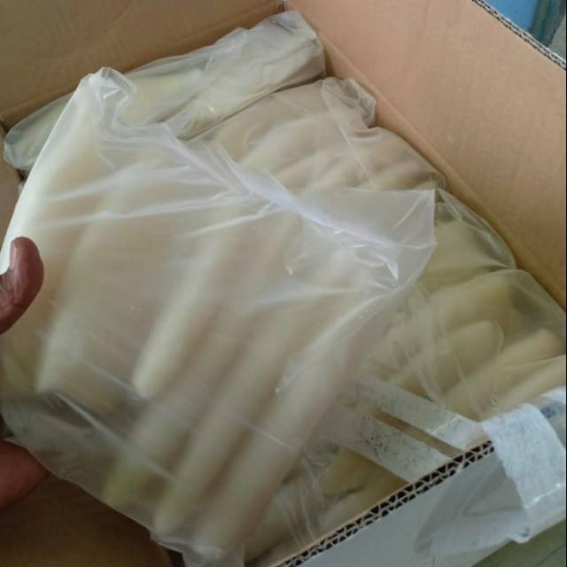 

Cumi Tube Putih Besar Free Sterofoam