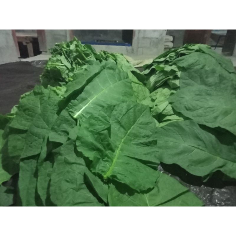 

premium 1kg
