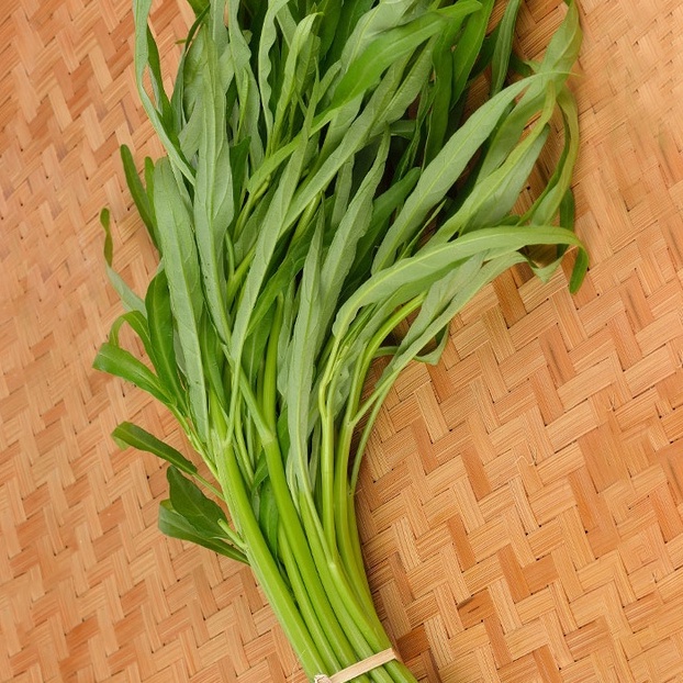 

Kangkung Organik