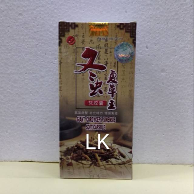 Giant Cordyceps Sinensis