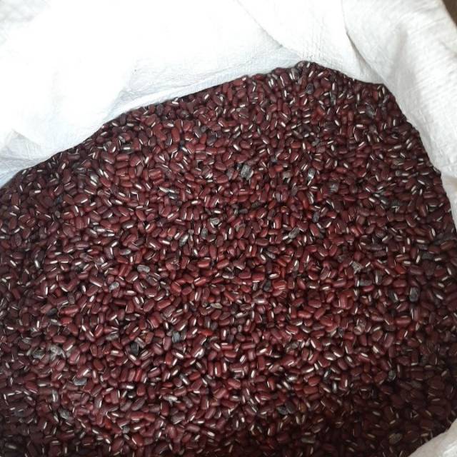 

Kacang merah