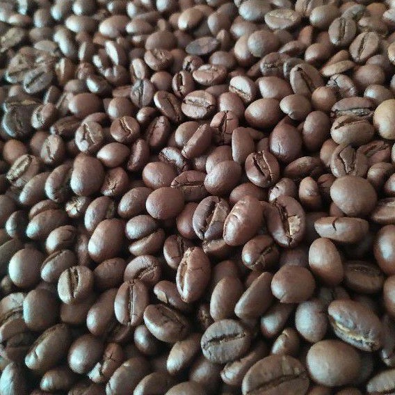 

Kopi Robusta Muria