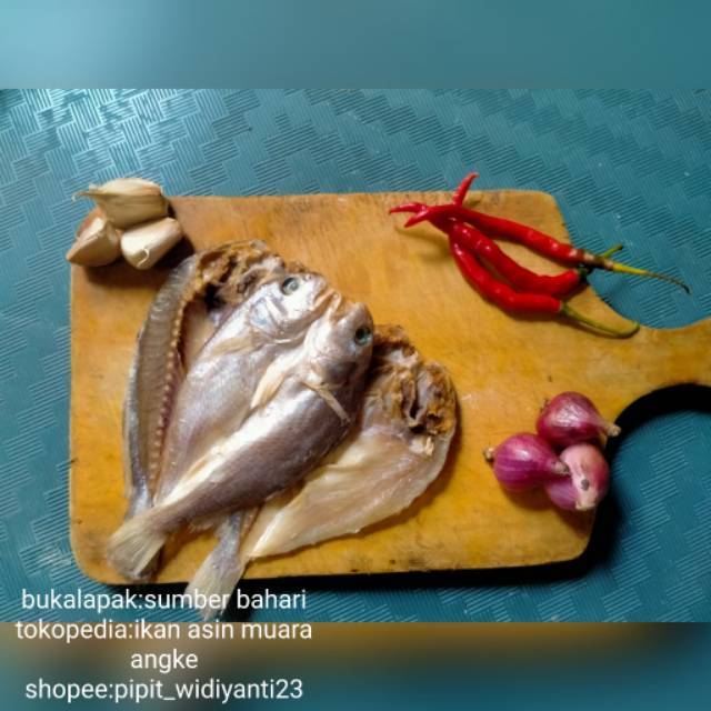 

Ikan asin samge/kepala batu/tiga wajah