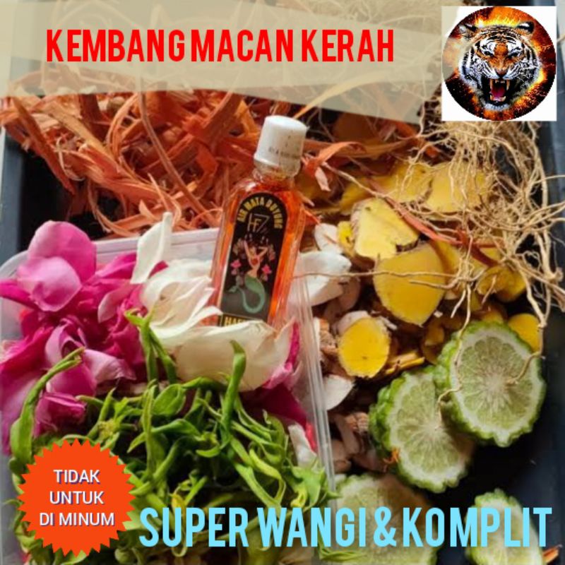 kembang macan kerah bunga untuk mandi segar dan komplit