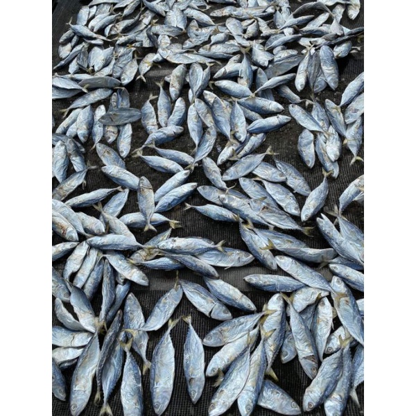 

ikan asin kembung 500gr
