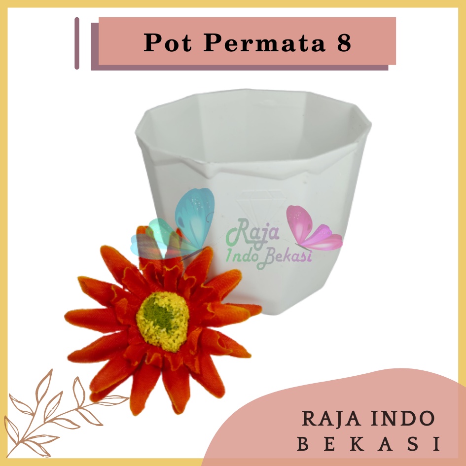 Pot Permata 8CM Putih By Garden Of Love Pot 8 Cm Putih Pot Plastik Kaktus Mini Lucu Murah Grosir