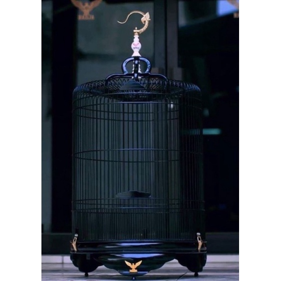 SANGKAR KANDANG MURAI RADJA BLACK JACK DM58