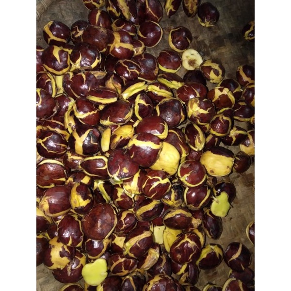 

Paket Hemat Jengkol Tua Super 1Kg Fresh