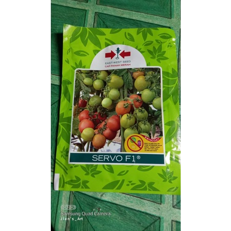 Tomat Servo F1