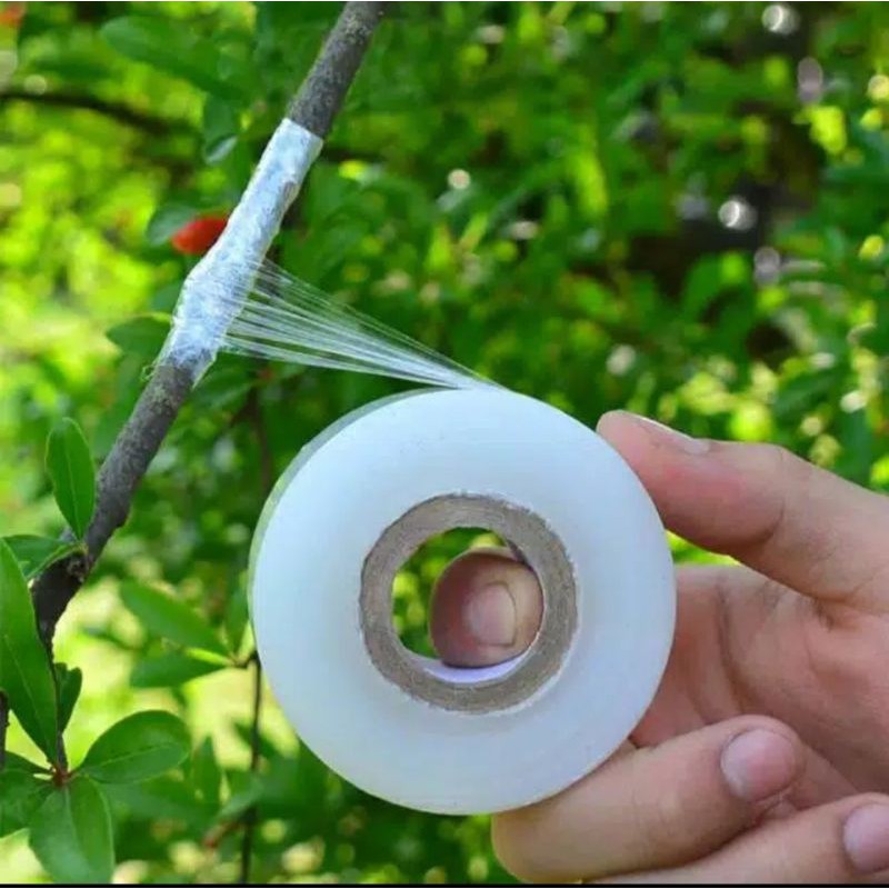 

PLASTIK GRAFTING OKULASI SAMBUNG CANGKOK 5CM X 200M