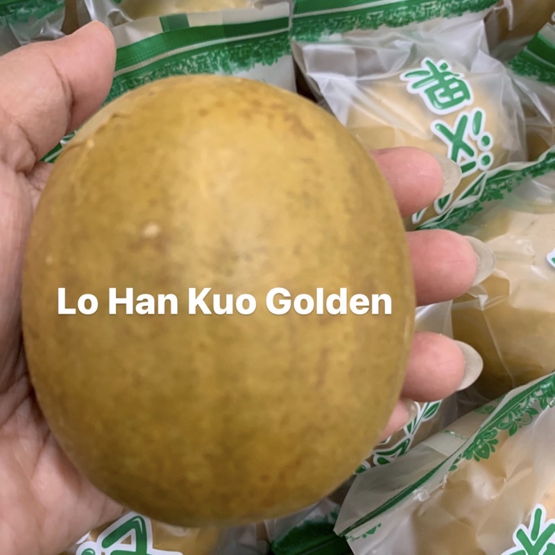 

LUO HAN GUO GOLDEN / MONK FRUIT / BUAH PANJANG UMUR