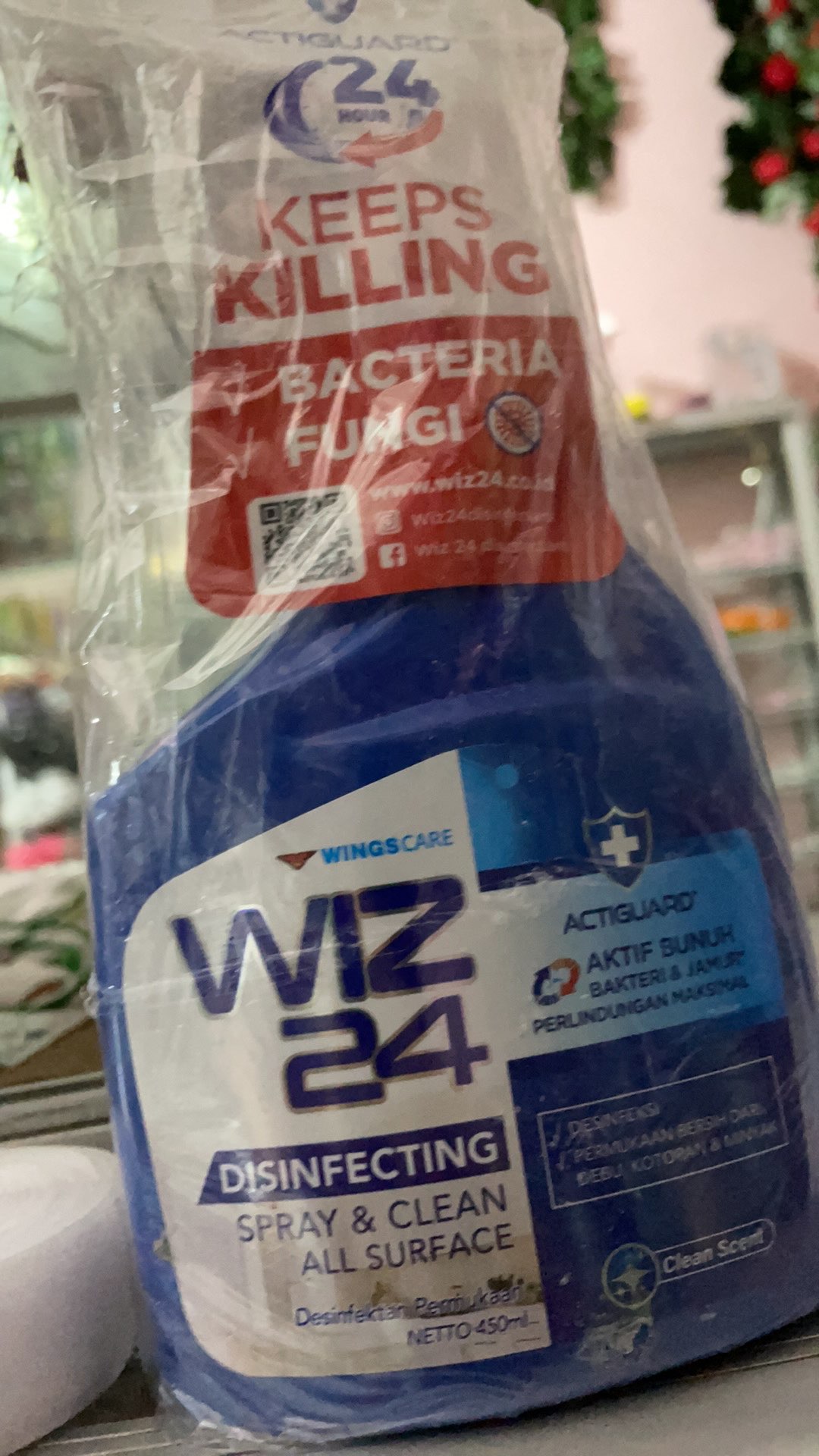 Wiz 24 Disinfectan Spray Btl 450 Ml