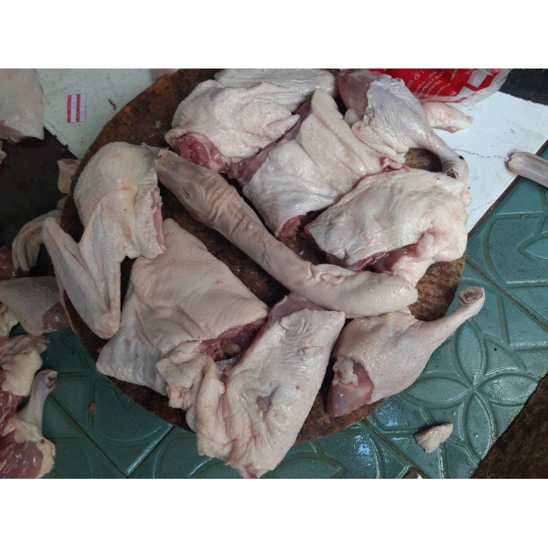 

bebek frozen