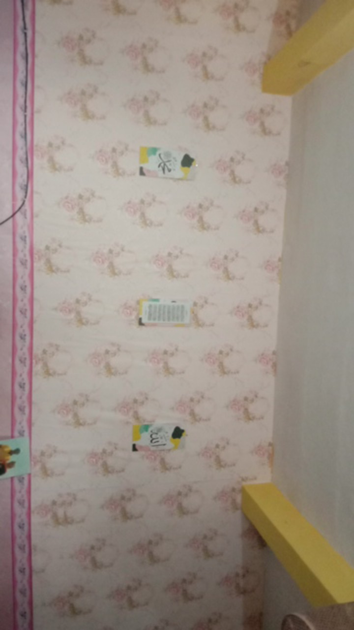 Wallpaper Dinding Klasik Bunga Shabby Mewah Gold Pink Merah Cream Ornament