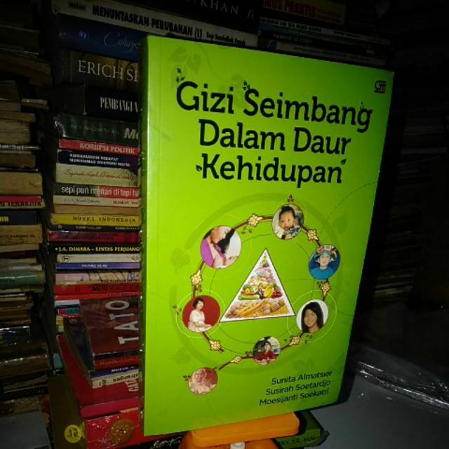 Gizi seimbang dalam daur kehidupan