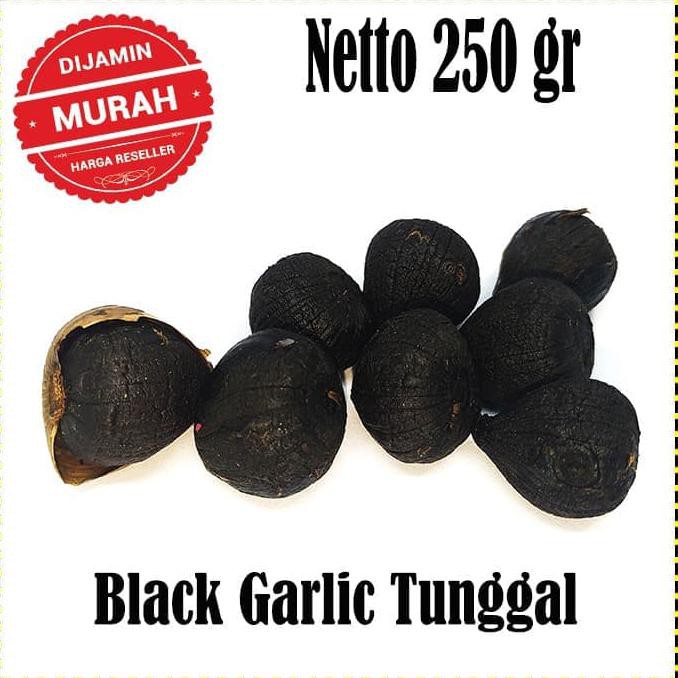 

Herbal877D8Rs-1 Black Garlic Lanang 250 Gram - Bawang Putih Tunggal Hitam