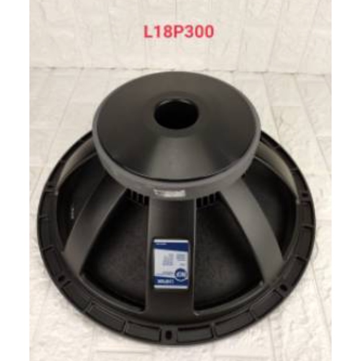 2 buah box subwofer speaker 18 inch dobel isi 2 komplit isi L 18P 300