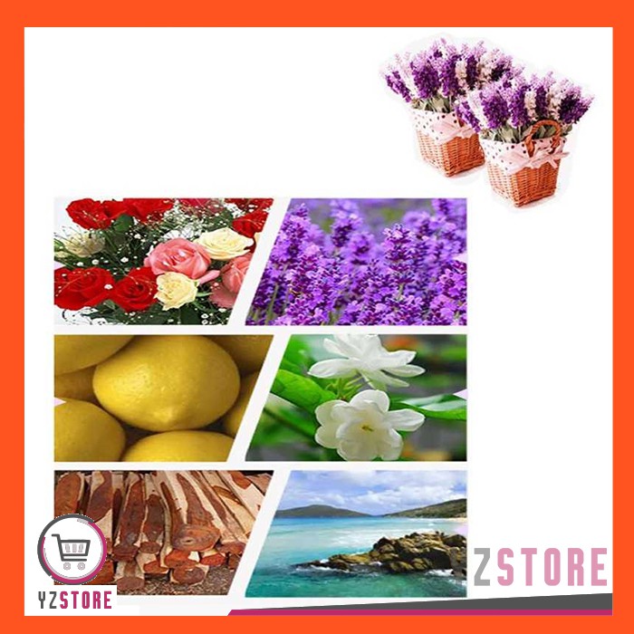 Essential Oil Aroma Terapi Aromatherapy Pengharum Ruangan 5ml Mixing 6 PCS YZ78