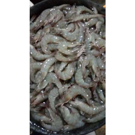 

UDANG VANAME SEDANG SEGAR 250GR