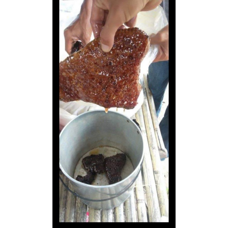 

maduaslisumatera