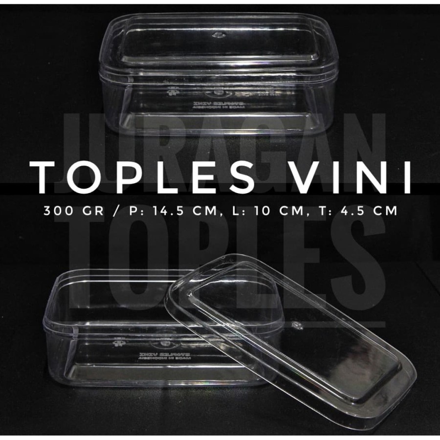 GOJEK GAYA BARU GB VINI TOPLES KUE KERING NASTAR SEGI KOTAK 250 GRAM