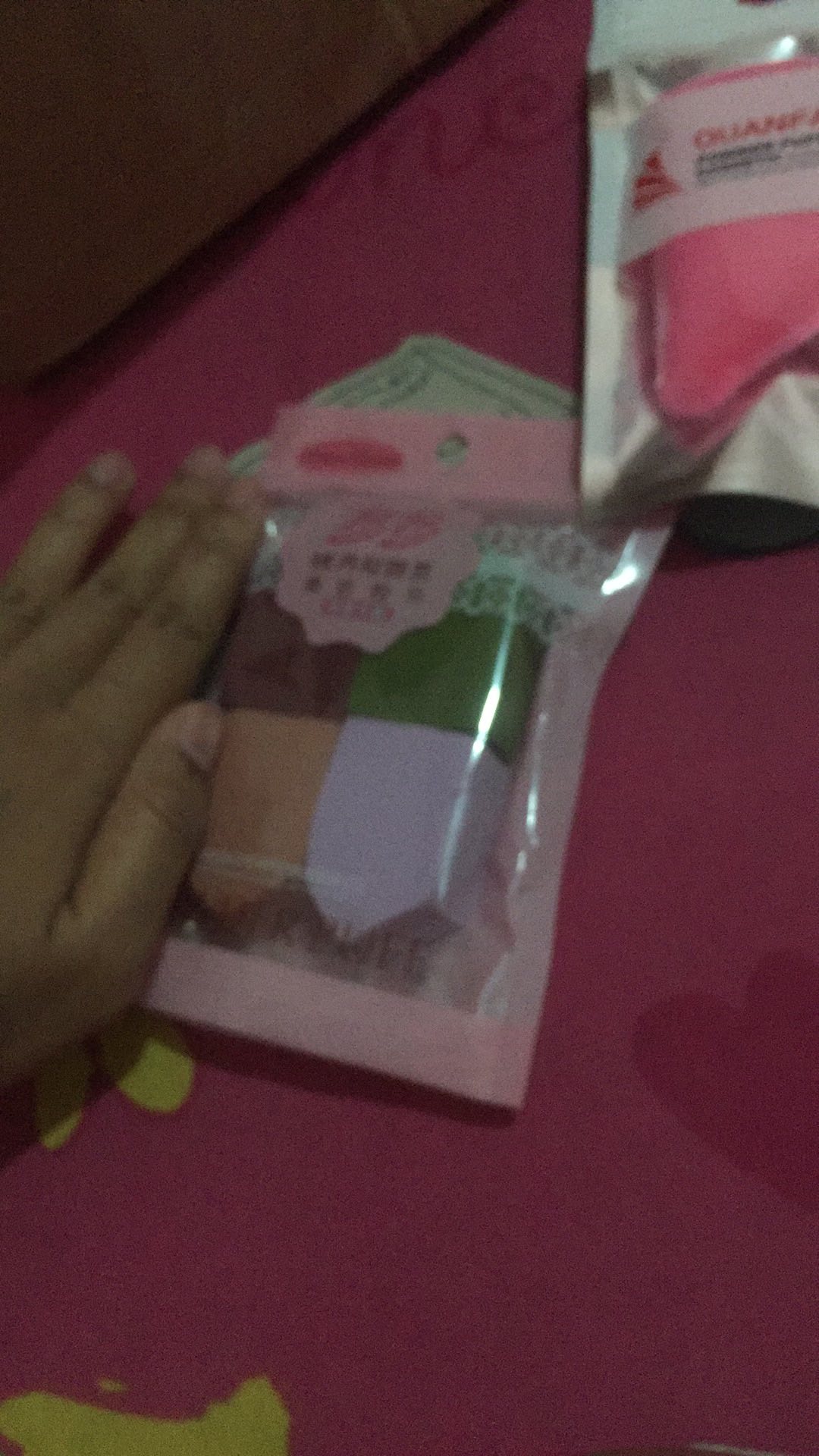 Sponge Mini House (isi 4bh)