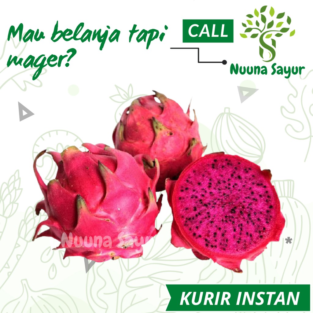 

Buah Naga Merah 1 KG