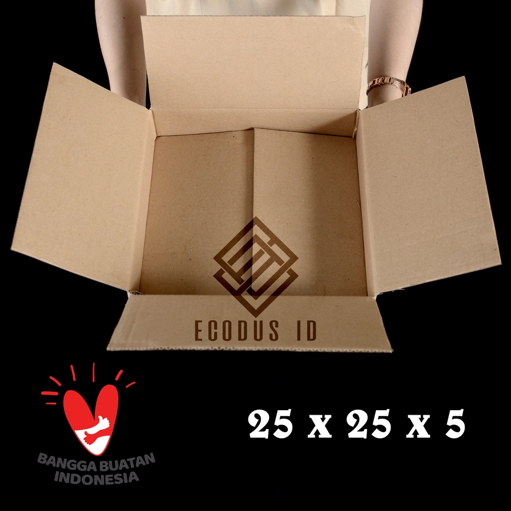 DUS PACKING kardus box ukuran 25x25x5 DUS MURAH