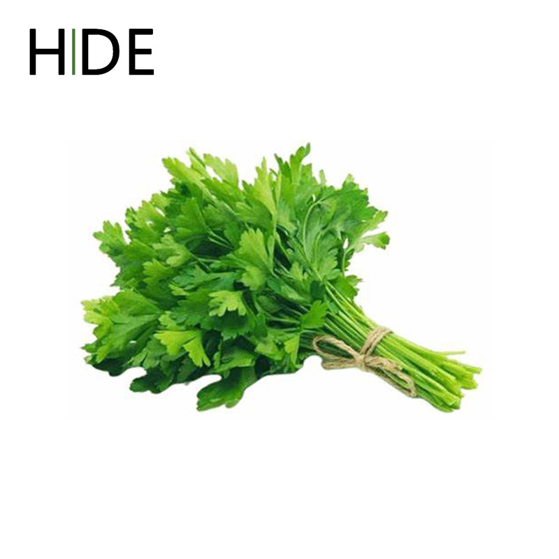 

( Hide ) Sayuran Segar - Daun Sledri Per Ikat