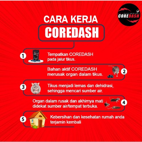 SHp2 Racun tikus ampuh mati kering COREDASH perangkap / pengusir / jebakan tikus massal PROMO 1