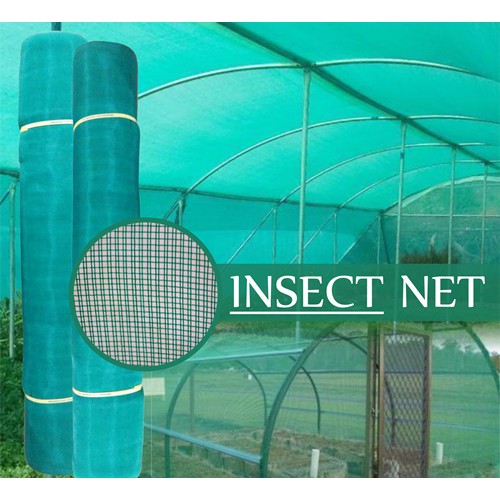 Insect Net Hijau