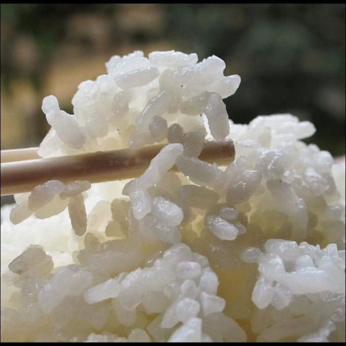 

BERAS JEPANG OKINIRI ORIGINAL 20KG
