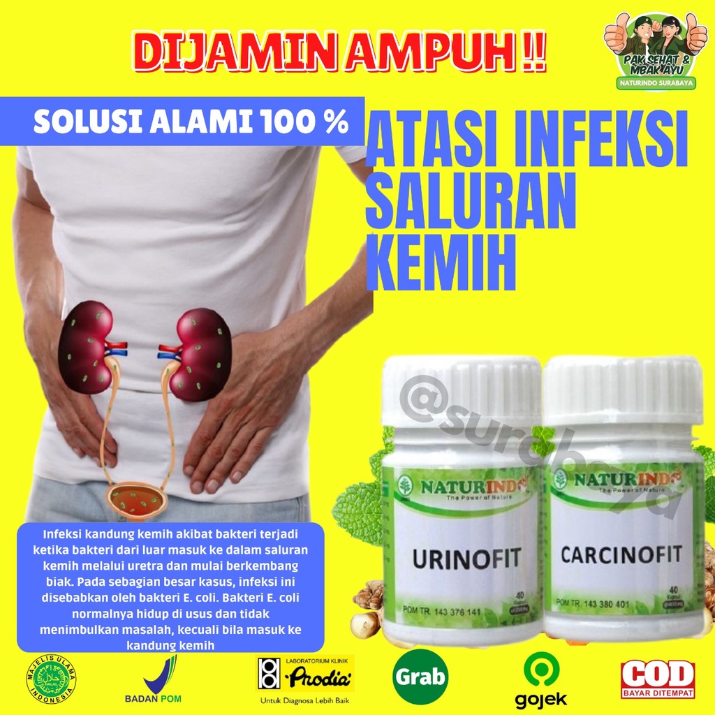 Obat Herbal Sulit Kencing Sakit Prostat Infeksi Saluran Kencing Anyang Anyangen Atasi Batu Ginjal Saluran Kemih Obat Kencing Batu kencing sakit Obat Gagal Ginjal Bocor Bengak Kencing Berbuih Berbusa Batu Spesialis Ginjal URINOFIT NATURINDO SURABAYA-INFEKSI SALURANKEMIH