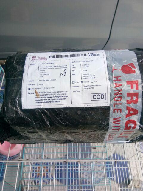 Payung Ajaib 3 Dimensi