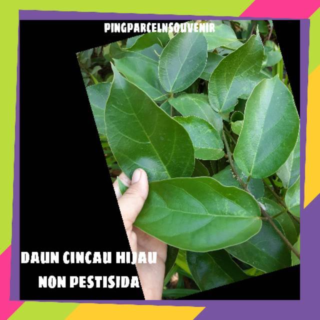 

Daun cincau hijau || sayur online murah surabaya