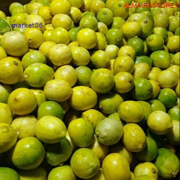 

Buah Segar Fresh Lemon Lokal Value Pack 500 Gram -WFB .