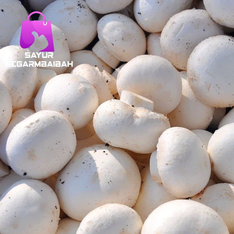 

jamur champignon 250 gram